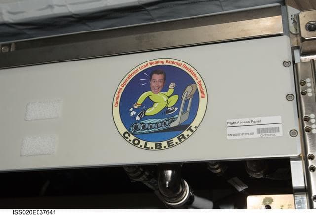 NASA image: T2 (Treadmill 2) COLBERT