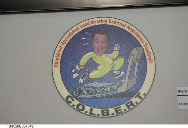 NASA image: T2 (Treadmill 2) COLBERT
