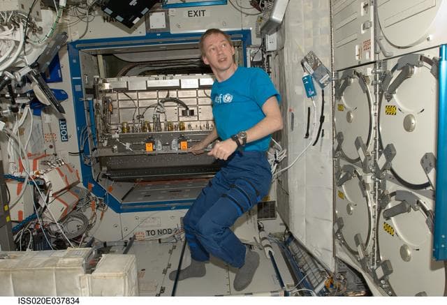 NASA image: Minus Eighty Degree Laboratory Freezer for ISS (MELFI) rack
