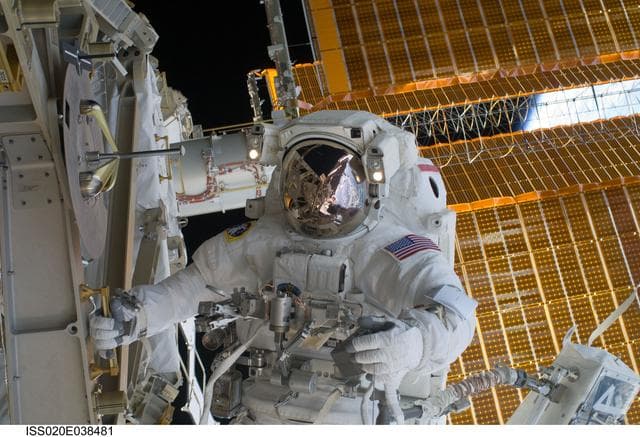 NASA image: iss020e038481