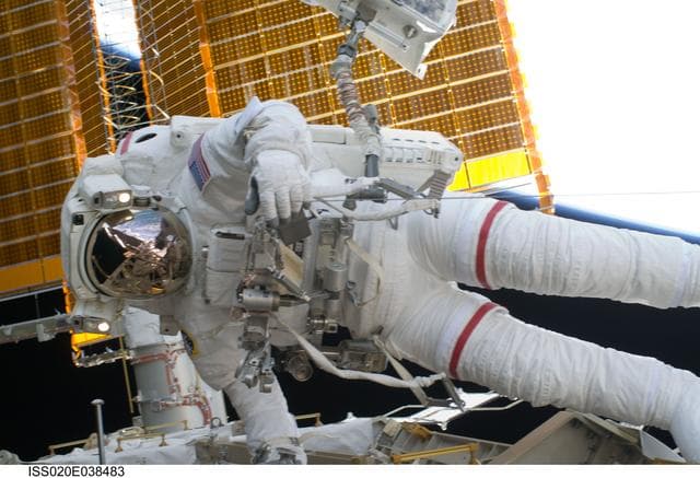 NASA image: iss020e038483
