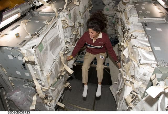 NASA image: Stott in MPLM
