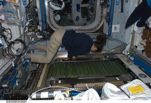 NASA image: T2 (COLBERT) treadmill Installation