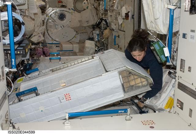 NASA image: Stott with CQ