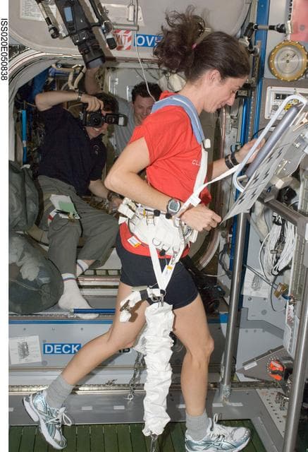 NASA image: Stott with T2 in Node 2