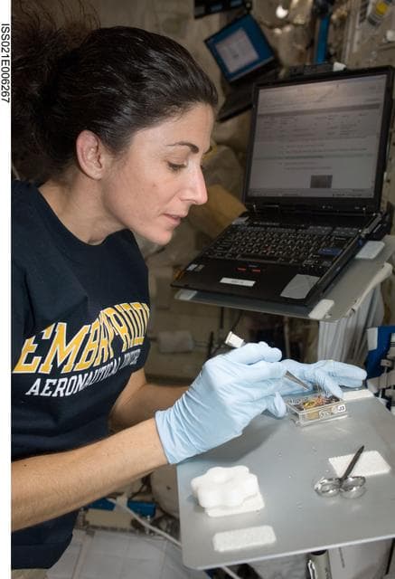 NASA image: FE-2 Nicole Stott works on the CBEF Space Seed Experiment