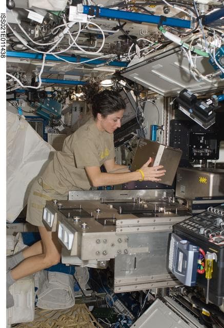 NASA image: View of FE Stott installing hardware on the Fluids Integrated Rack (FIR)