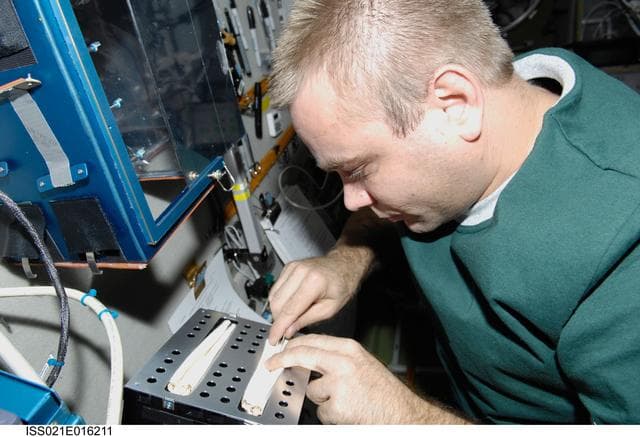NASA image: FE-1 Suraev prepares a new version of the BIO-5 Rasteniya-2 Experiment