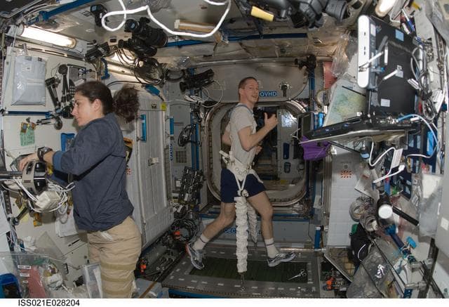 NASA image: Commander De Winne exercises on the COLBERT/T2 Treadmill