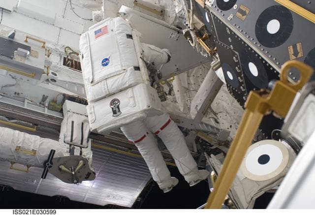 NASA image: View of STS-129 MS2 Bresnik during EVA2