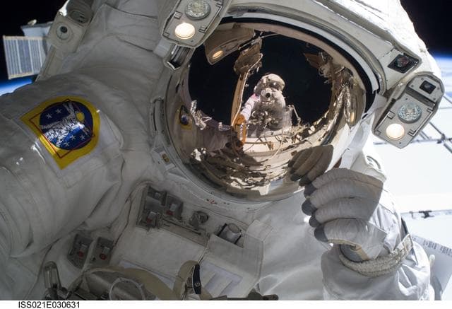 NASA image: View of STS-129 MS2 Bresnik during EVA2