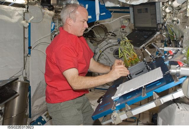 NASA image: Williams performs service on the APEX-Cambium in the JPM during Expedition 22