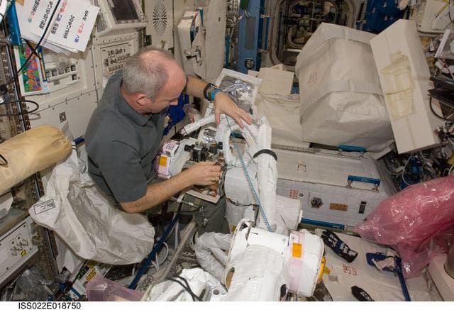 NASA image: Williams works on the JEMRMS SFA in the JPM during Expedition 22