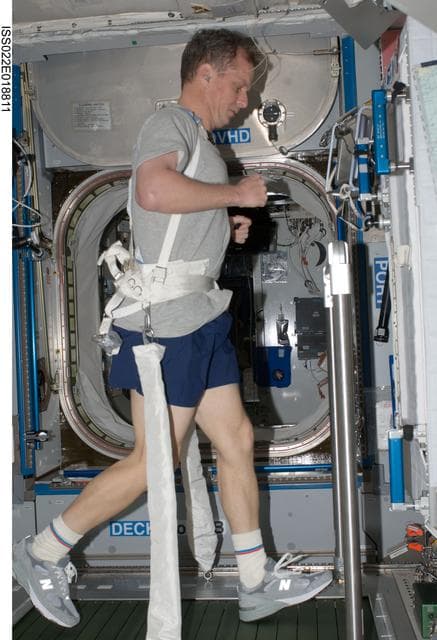 NASA image: Creamer exercises on the T2 COLBERT in the Node 2 during Expedition 22