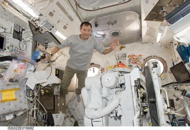 NASA image: Noguchi poses with JEMRMS SFA in the JPM during Expedition 22