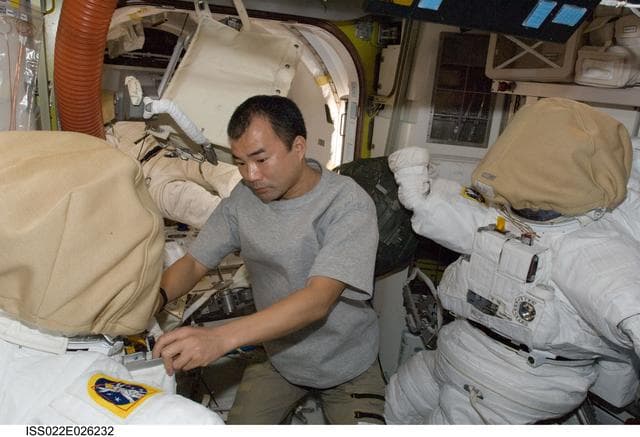 NASA image: Noguchi in the A/L during Expedition 22