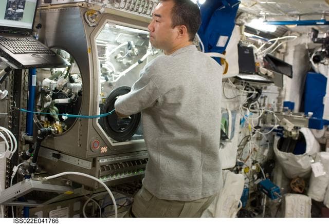 NASA image: MSG in the Columbus Laboratory during Expedition 22