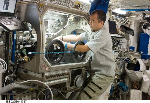 NASA image: MSG in the Columbus Laboratory during Expedition 22