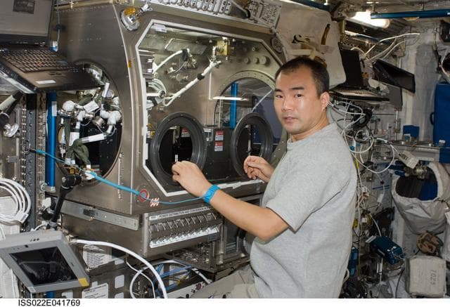 NASA image: MSG in the Columbus Laboratory during Expedition 22