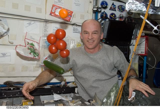 NASA image: Williams poses for photo during Expedition 22