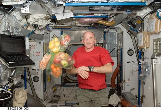 NASA image: Williams in the Node 2 during Expedition 22