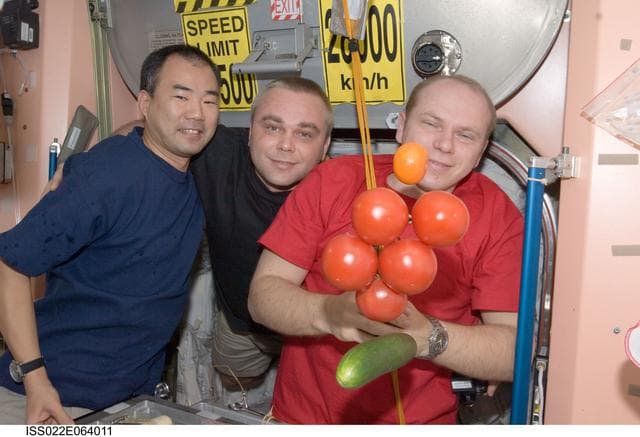 NASA image: Expedition 22 Crewmembers in the Node 1 during Expedition 22