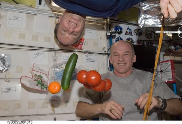NASA image: Expedition 22 Crewmembers in the Node 1 during Expedition 22
