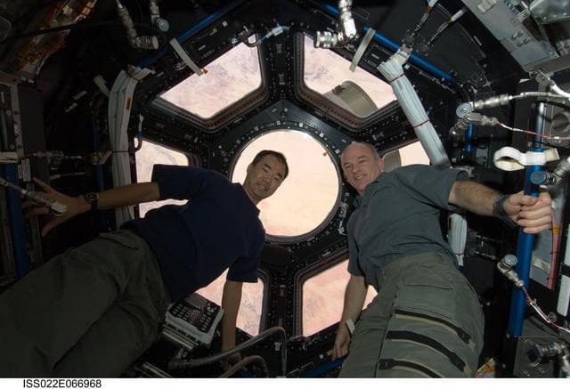 NASA image: Noguchi and Williams in the Cupola Module during Joint Operations