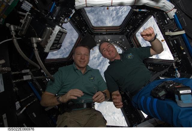 NASA image: Virts and Robinson in the Cupola Module during Joint Operations