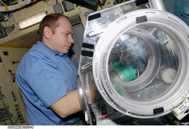NASA image: Kotov works with samples from the Bioscience Experiment ASEPTIC during Joint Operations