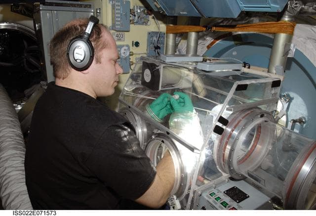 NASA image: Kotov works with samples from Bioscience Experiment in the MRM2