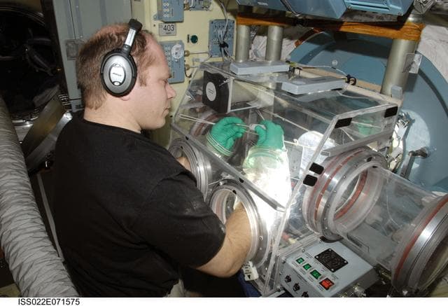 NASA image: Kotov works with samples from Bioscience Experiment in the MRM2