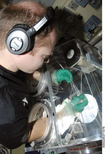 NASA image: Kotov works with samples from Bioscience Experiment in the MRM2
