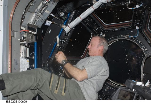 NASA image: Williams places patch in the Cupola Module during Expedition 22