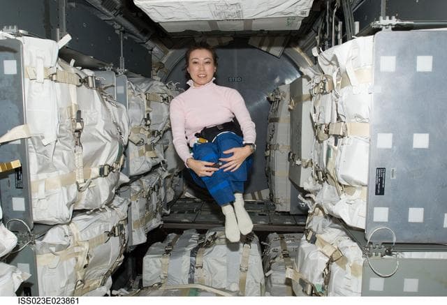 NASA image: Yamazaki in MPLM