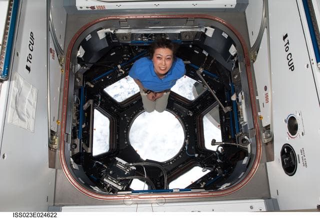 NASA image: Yamazaki in the Cupola