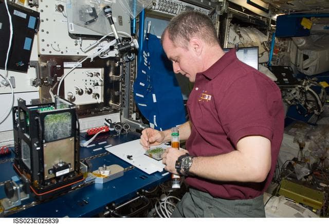 NASA image: Creamer works with APEX-TAGES Experiment in Columbus