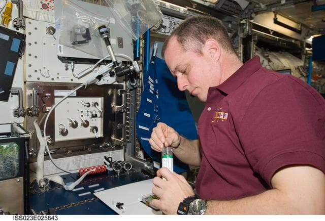 NASA image: Creamer works with APEX-TAGES Experiment in Columbus