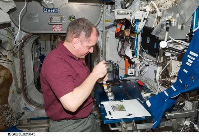 NASA image: Creamer works with APEX-TAGES Experiment in Columbus