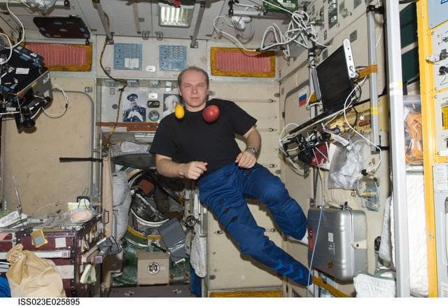 NASA image: Noguchi with Fruit in the SM