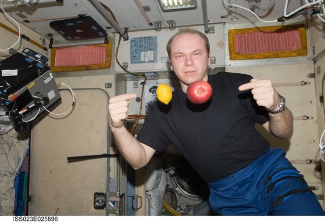 NASA image: Noguchi with Fruit in the SM
