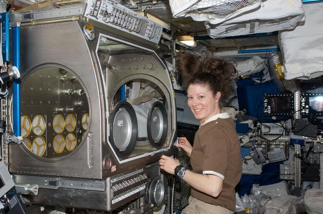 NASA image: Dyson works with IVGEN Experiment Payload in Columbus MSG