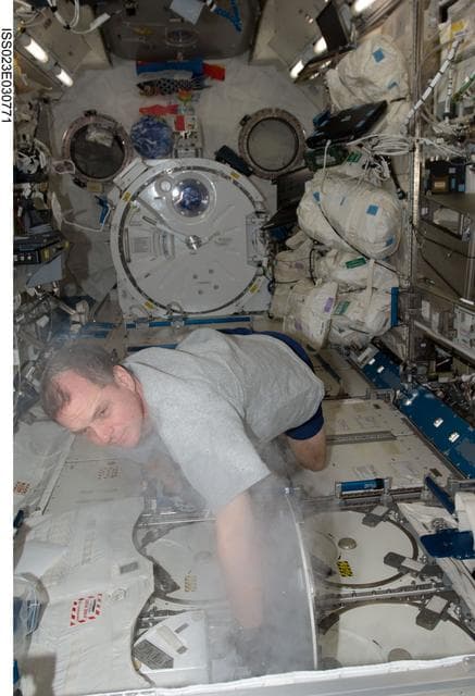 NASA image: Creamer stows urine samples in MELFI