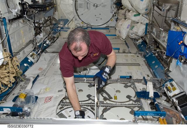 NASA image: Creamer stows urine samples in MELFI