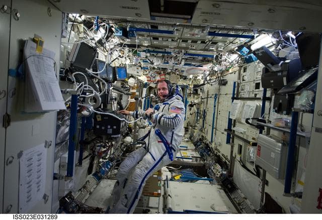 NASA image: Creamer prepares for Sokol Suit Leak Check