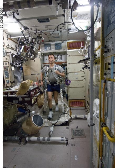 NASA image: Noguchi Exercises on TVIS in SM