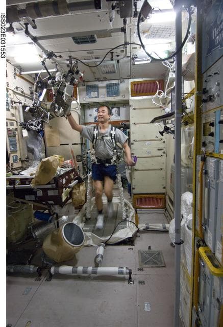 NASA image: Noguchi Exercises on TVIS in SM