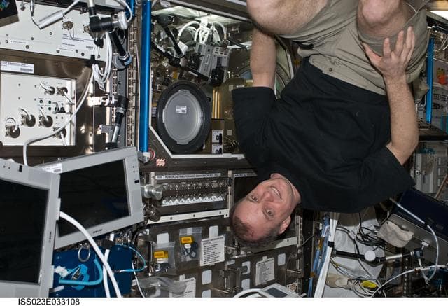 NASA image: Creamer works with IVGEN Experiment Payload in Columbus MSG