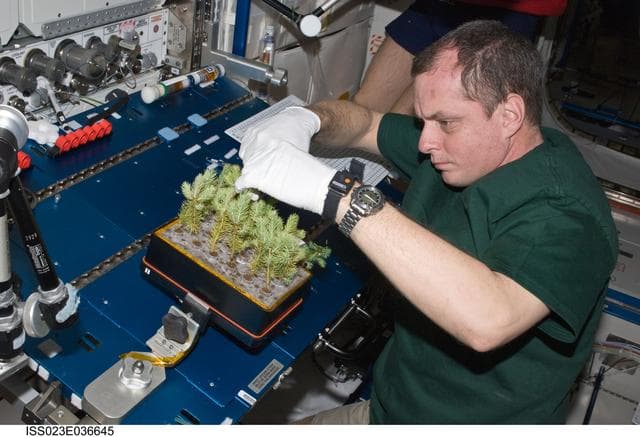 NASA image: Creamer closes out APEX-CSA2 Experiment