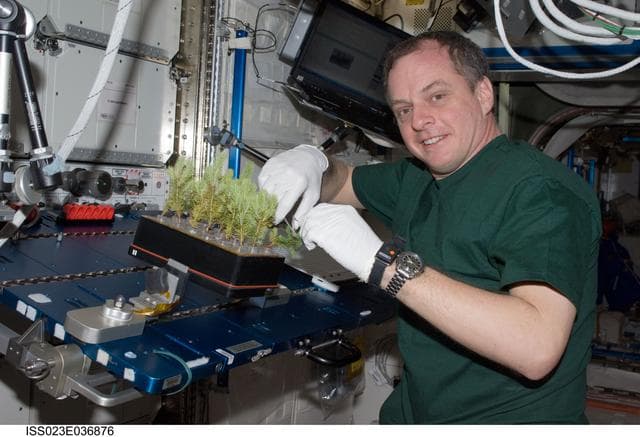 NASA image: Creamer closes out APEX-CSA2 Experiment